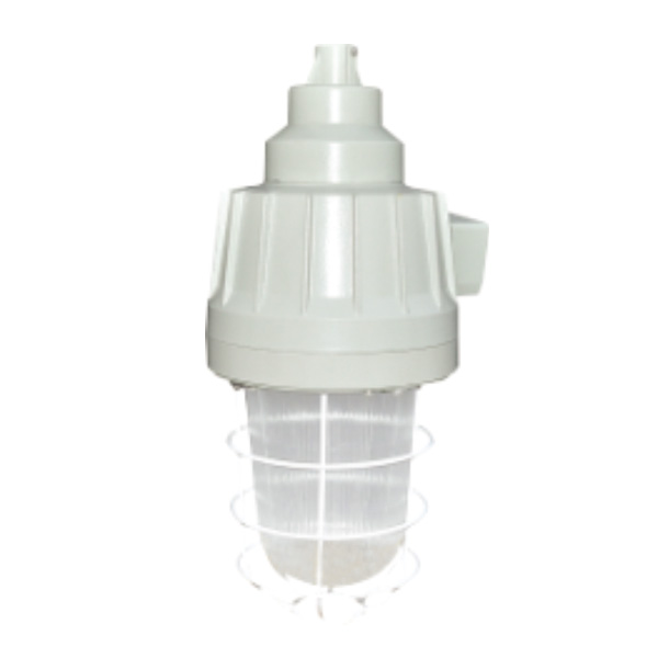 DCG53系列防爆燈(ⅡB、ⅡC)